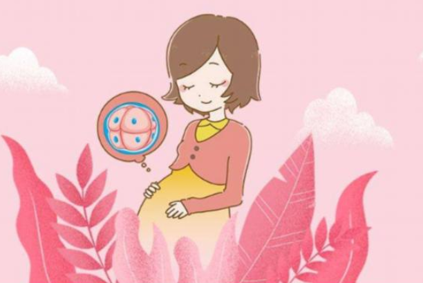 泰國試管嬰兒費(fèi)用是多少？泰國試管嬰兒成功率高嗎？